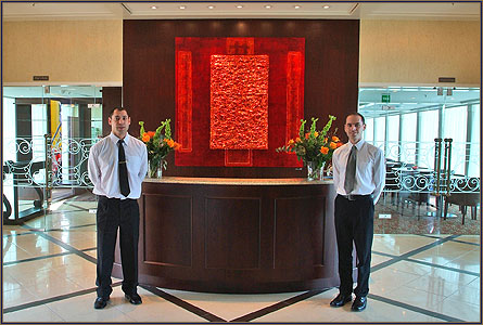 amalyra reception